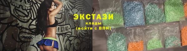 индика Горнозаводск