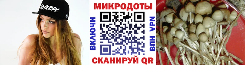Галлюциногенные грибы Psilocybine cubensis МЕГА tor Нефтеюганск